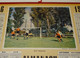 1956 ANNEE BISSEXTILE CALENDRIER ALMANACH DES PTT, BUT MENACE, PARTIE DE FOOT, FOOTBALL, OBERTHUR, MEUSE 55 - Grand Format : 1941-60