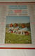 1952 ANNEE BISSEXTILE CALENDRIER ALMANACH DES PTT, FILLETTES ET CHEVREAUX, OLLER, MARNE 51 - Grossformat : 1941-60