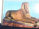 25  CARD TORINO -MUSEO EGIZIO Diverse STATUE AFFRENSCHI SARCOFAGI  MUMMIE N1975  ID8293 - Musea