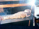 Delcampe - 25  CARD TORINO -MUSEO EGIZIO Diverse STATUE AFFRENSCHI SARCOFAGI  MUMMIE N1975  ID8293 - Musées