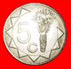 • SOUTH AFRICA (1993-2015): NAMIBIA ★ 5 CENTS 2002 MINT LUSTER! LOW START ★ NO RESERVE! - Namibia