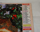 Delcampe - 1995 CALENDRIER ( Double ) ALMANACH DU FACTEUR, LA POSTE, ROUGE GORGE, ROSSIGNOLS DU JAPON, OBERTHUR, MARNE 51 - Formato Grande : 1991-00