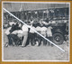 Foto De Carro Da Gincana Automobilística Do Automóvel E Touring Clube De Angola, No Campo Silva Pereira Em 1946, Luanda. - Automotive