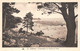 ¤¤  -  CANCALE  -  Lot De 8 Cartes  - Sémaphore, Pointe Du Hock, Phare, Parcs à Huitres, Monument ...........  -  ¤¤ - Cancale