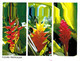 Delcampe - Lot   - Amériques + Martinique Et Guadeloupe -  Environ  250 Cartes - 100 - 499 Postkaarten