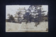 JAPON - Carte Postale ( The Nagoya Castle ) Pour L 'Allemagne En 1925 - L 99259 - Cartas & Documentos