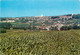 MONTMIRAIL VUE PANORAMIQUE - Montmirail