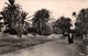 Gafsa (Tunisie) Dans La Palmeraie En 1954 - Edition Combier - Carte CIM - Tunisia