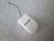 PIN'S   MICROSOFT    SOURIS    PC - Informatica