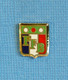 1 PIN'S //  ** F.F.B. / FÉDÉRATION FRANÇAISE DE BILLARD ** - Biliardo