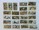 John Player Cigarette Cards - BIRDS & THEIR YOUNG - 23 Different Cards. - Player's