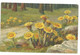 Illustrateur A.HALLER Lot  12 Cartes Fleurs Imprimées En  Suisse - Haller, A.