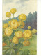 Delcampe - Illustrateur A.HALLER Lot  12 Cartes Fleurs Imprimées En  Suisse - Haller, A.