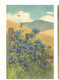 Delcampe - Illustrateur A.HALLER Lot  12 Cartes Fleurs Imprimées En  Suisse - Haller, A.