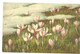 Delcampe - Illustrateur A.HALLER Lot  12 Cartes Fleurs Imprimées En  Suisse - Haller, A.