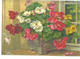 Delcampe - Illustrateur A.HALLER Lot  12 Cartes Fleurs Imprimées En  Suisse - Haller, A.