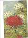 Delcampe - Illustrateur A.HALLER Lot  12 Cartes Fleurs Imprimées En  Suisse - Haller, A.