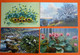 FLOWERS , LOT 10 OLD POSTCARDS - Fleurs