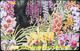 HAWAÏ  -  Phonecard  -  GTE HAWAIIAN TELEPHONE - Flowers - Card 3 - Hawaï