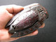 Old China Natural Jade Hand-carved Statue Double Cicada Inkstone - Art Oriental