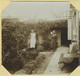 Stéréo Amateur 1931. Les Portes-en-Ré (Charente-Maritime). Femmes Dans Un Jardin. Ile De Ré. - Photos Stéréoscopiques