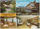 Idstein - Hotel-Restaurant 'Traube', Wiesbadenerstraße 1 - (Taunus) - Idstein