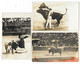 Cpa. CARTE PHOTO - Corrida De Taureau - (Toréador)  (6 Cartes) - Corridas