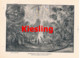 A102 841 - Kiesling Hartung Leipzig Palmengarten Artikel Mit Bildern 1899 !! - Otros & Sin Clasificación