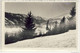 SAALFELDEN FOTO AK  BLICK VOM SESSELLIFT  UM 1950 - Saalfelden