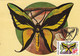 A9038- ORNITHOPTERA PARADISEA BUTTERFLY, PRONATURE CLUJ NAPOCA 1992 ROMANIA, MAX CARD USED STAMP ON COVER POSTCARD - Vlinders