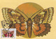 A9039- CATOCALA PROMISA BUTTERFLY, PRONATURE CLUJ NAPOCA 1992 ROMANIA, MAX CARD USED STAMP ON COVER POSTCARD - Vlinders