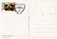 A9040- RHYPARIA PURPURATA BUTTERFLY, PRONATURE CLUJ NAPOCA 1992 ROMANIA, MAX CARD USED STAMP ON COVER POSTCARD - Vlinders