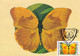 A9041- PHOEBIS AVELLANEDA BUTTERFLY, PRONATURE CLUJ NAPOCA 1992 ROMANIA, MAX CARD USED STAMP ON COVER POSTCARD - Vlinders