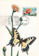 A9042- POPILIO MACHAON BUTTERFLY,  BISOCA 1989 ROMANIA, MAX CARD USED STAMP ON COVER POSTCARD - Vlinders
