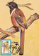 A9066- HARPACTES FASCIATUS MALABAR TROGON BIRD PRONATURE CLUJ NAPOCA 1992 ROMANIA MAXIMUM CARD USED STAMP - Andere & Zonder Classificatie