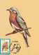 A9067- SIALIA SIALIS EASTERN BLUEBIRD BIRD PRONATURE CLUJ NAPOCA 1992 ROMANIA MAXIMUM CARD USED STAMP - Andere & Zonder Classificatie