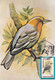 A9069- YELLOW HEADED BLACKBIRD PRONATURE CLUJ NAPOCA 1992 ROMANIA MAXIMUM CARD USED STAMP - Andere & Zonder Classificatie