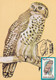 A9074- PEL'S FISHING OWL PRONATURE CLUJ NAPOCA 1992 ROMANIA MAXIMUM CARD USED STAMP - Owls