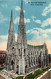 CPA AK St. Patrick's Cathedral NEW YORK CITY USA (790131) - Churches