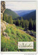 IDAHO - Wild Flowers Growing In The Sheep Creek Drainage Of The Hells Canyon - Autres & Non Classés