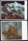 Delcampe - DDR 1987 MiNr. --  Gestempelt /o  16 Bildpostkarten X. Kunstausstellung Der DDR, Dresden - Private Postcards - Used