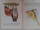 Soviet Union Period Lithuania  Book For Kids 1976 - Junior