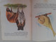 Soviet Union Period Lithuania  Book For Kids 1976 - Giovani