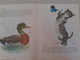 Soviet Union Period Lithuania  Book For Kids 1976 - Junior