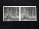 VUE STEREOSCOPIQUE SUR VERRE (M2105) BELGIQUE ARDENNES Années 30 (3 Vues) SPA Et Région A - Stereoscopic