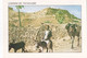 QN - Lote 18 Cartes - TUNISIE  (neuf) - 5 - 99 Cartes