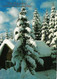 CHRISTMAS - 10 USED POSTCARDS - Roumanie