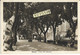 Toscana-massa Viale Xx Settembre Veduta Viale Primi Anni 40 (v.retro) - Massa