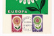 Carte Maximum 1964 Europa 25c +50c Fleur Flower Paris - 1964