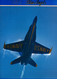 Blue Angels 1989 - The Blue Angels'Hercules - Format : 30.5x22.5 Cm Soit 46 Pages Couleurs Avec Photographies - Forze Armate Americane